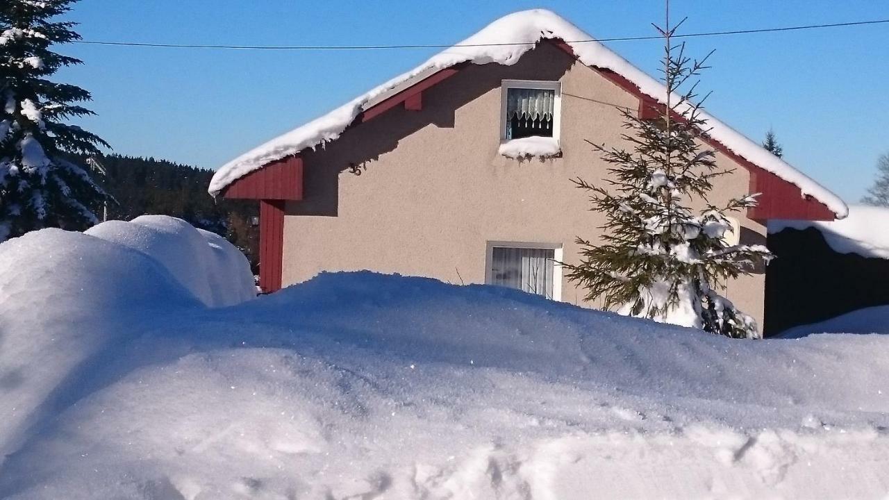 Ferienhaus Brigitte Klingenthal Exterior photo